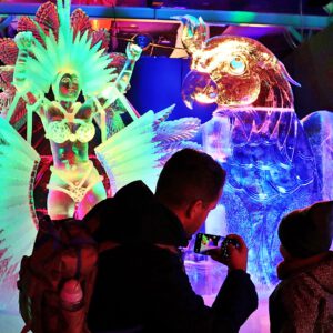 Evenement - IJsbeelden Festival