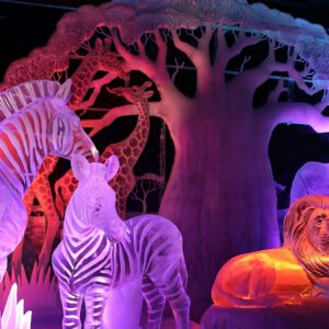 Evenement - IJsbeelden Festival