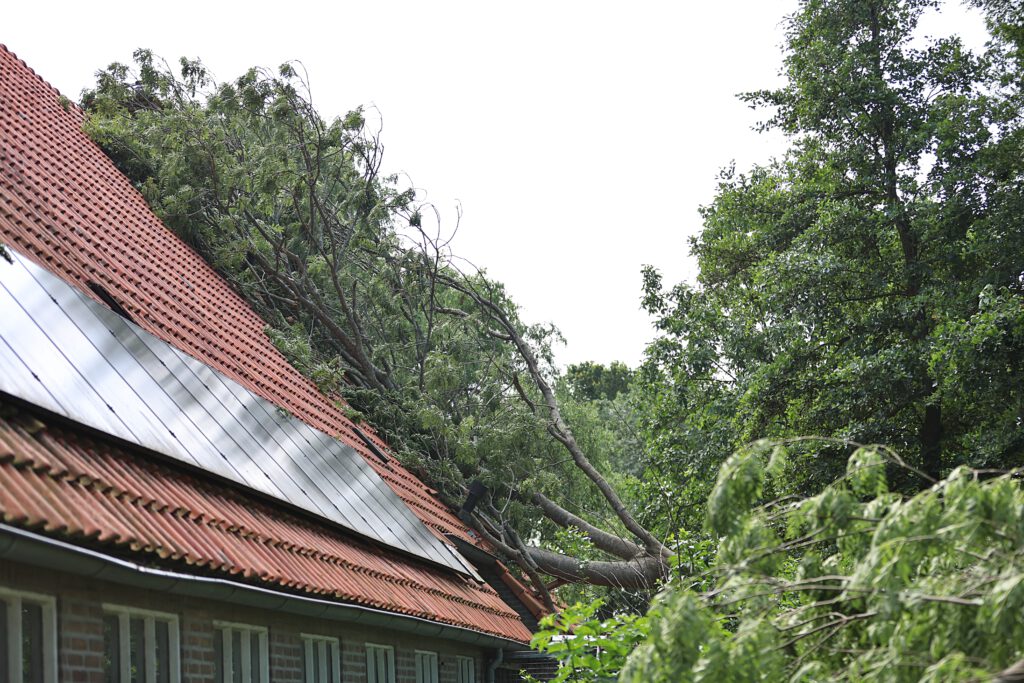 Omgevallen boom aan de Jan van Nassauweg in Giethoorn richt schade aan woning aan