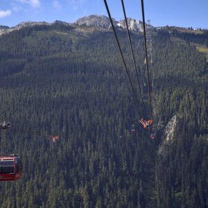 Reizen - Peak 2 Peak Cable Car Whistler Canada