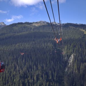 Reizen - Peak 2 Peak Cable Car Whistler Canada