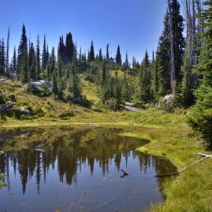 Reizen - Mount Revelstoke National Park British Colombia Canada